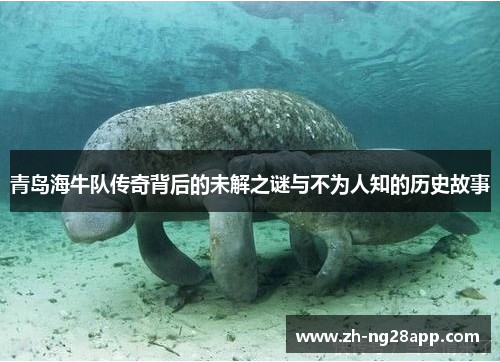 青岛海牛队传奇背后的未解之谜与不为人知的历史故事 青岛海牛队传奇背后的未解之谜与不为人知的历史故事