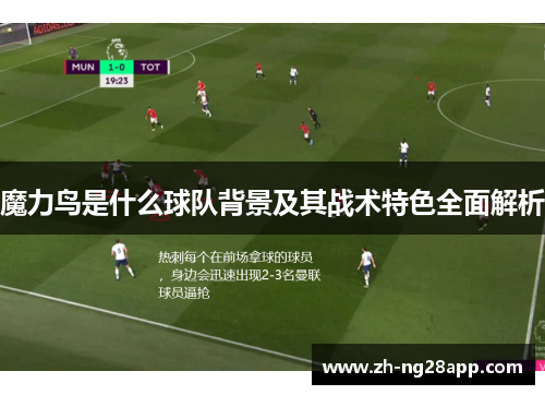 魔力鸟是什么球队背景及其战术特色全面解析 魔力鸟是什么球队背景及其战术特色全面解析