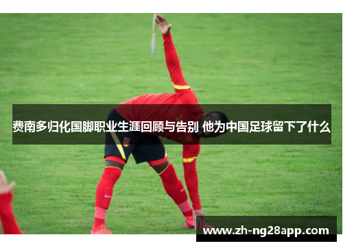 费南多归化国脚职业生涯回顾与告别 他为中国足球留下了什么